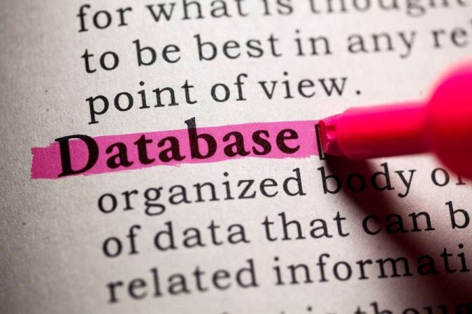 Un gros plan sur une page de dictionnaire où le mot "Database" est surligné en rose fluo.