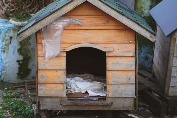 Une niche pour chien en bois brut avec un toit en bardeaux verts est posée sur une palette dans un jardin.